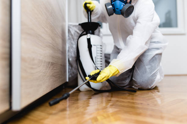 Reliable Volga, SD Pest Control Solutions