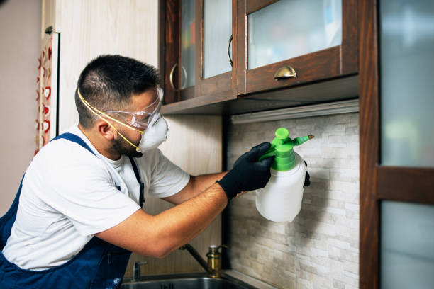Best Pest Control Near Me  in Volga, SD